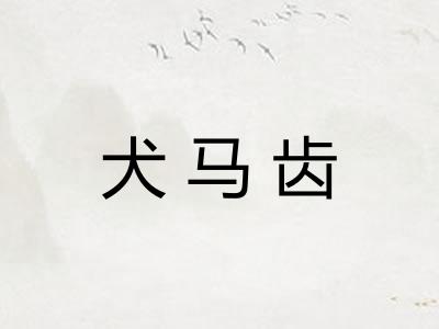 犬马齿