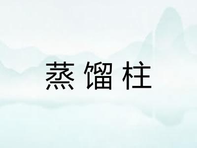 蒸馏柱
