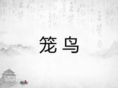 笼鸟
