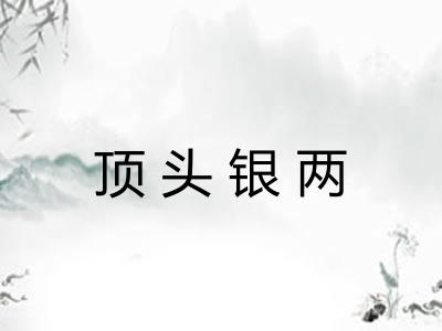 顶头银两