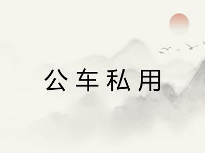公车私用