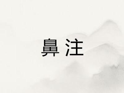 鼻注