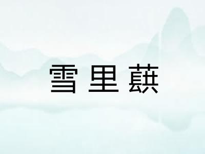 雪里蕻