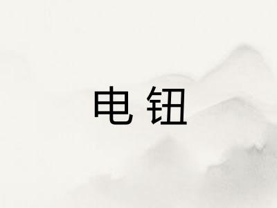 电钮