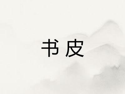 书皮
