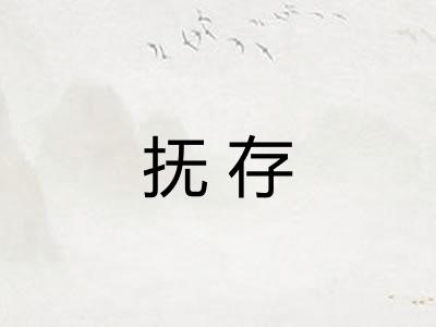 抚存