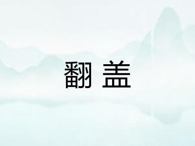 翻盖