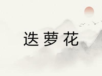 迭萝花