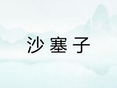 沙塞子