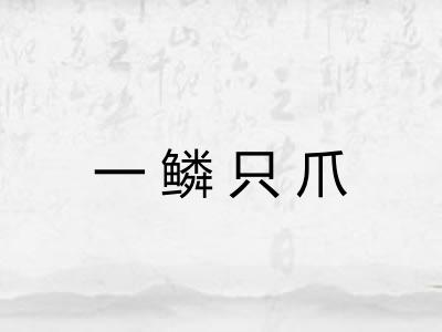 一鳞只爪
