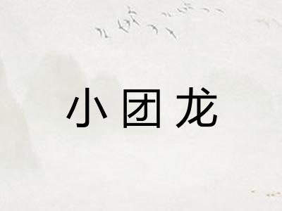 小团龙