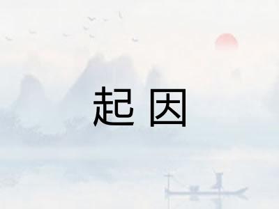 起因