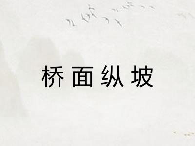 桥面纵坡