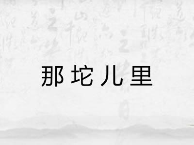 那坨儿里