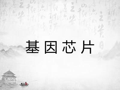 基因芯片