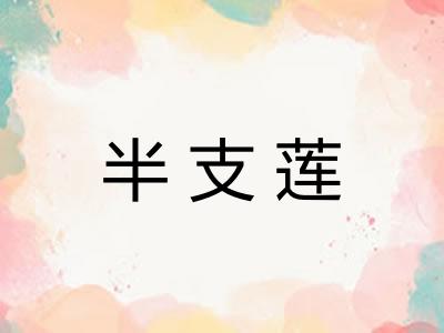 半支莲