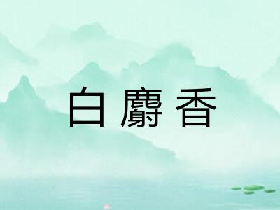 白麝香