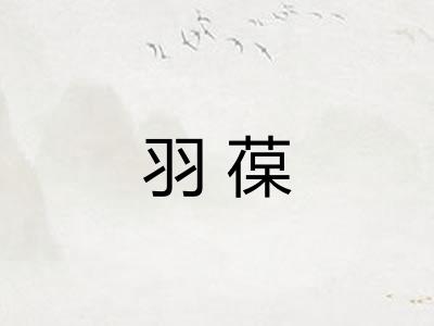 羽葆