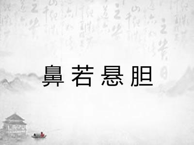 鼻若悬胆