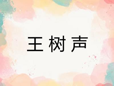 王树声