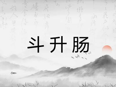 斗升肠