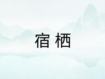 宿栖