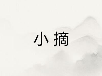 小摘