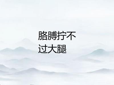 胳膊拧不过大腿