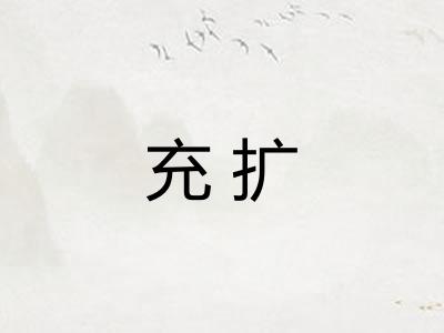 充扩