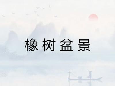 橡树盆景