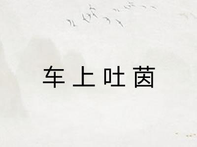 车上吐茵