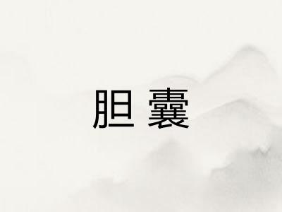 胆囊