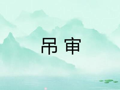 吊审