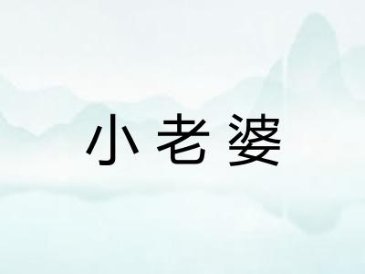 小老婆