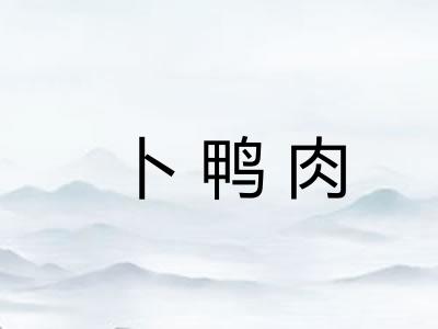 卜鸭肉