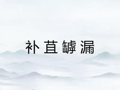 补苴罅漏