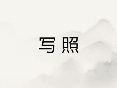 写照