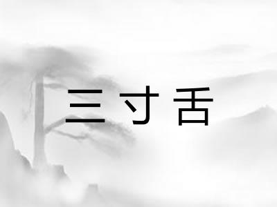三寸舌