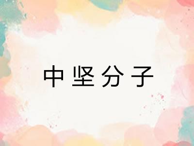 中坚分子