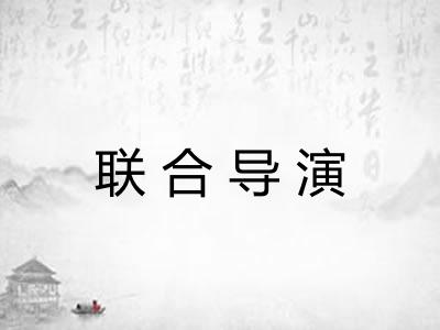 联合导演