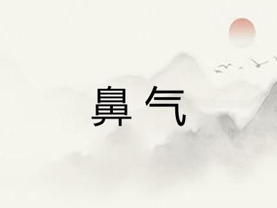 鼻气