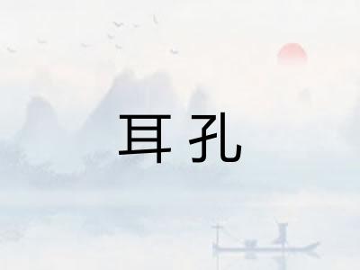 耳孔