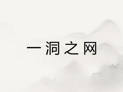 一洞之网