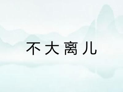 不大离儿