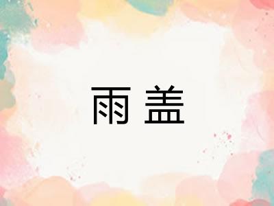 雨盖