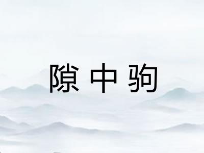 隙中驹