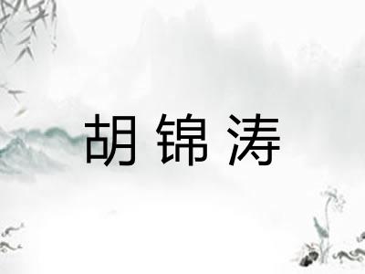 胡锦涛