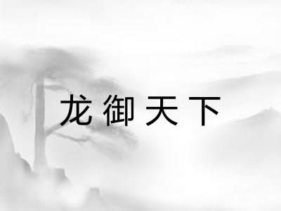 龙御天下