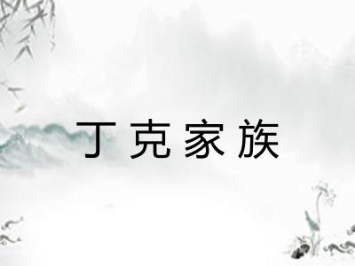 丁克家族