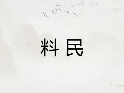 料民